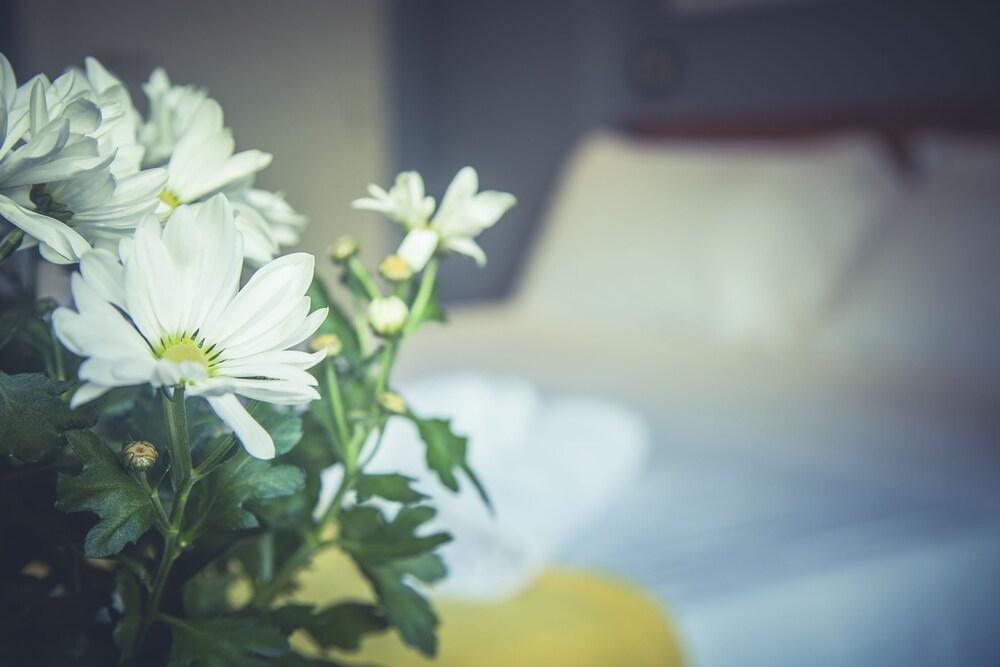 Hotel Stella D'Italia - Nuova Gestione Rimini Ngoại thất bức ảnh
